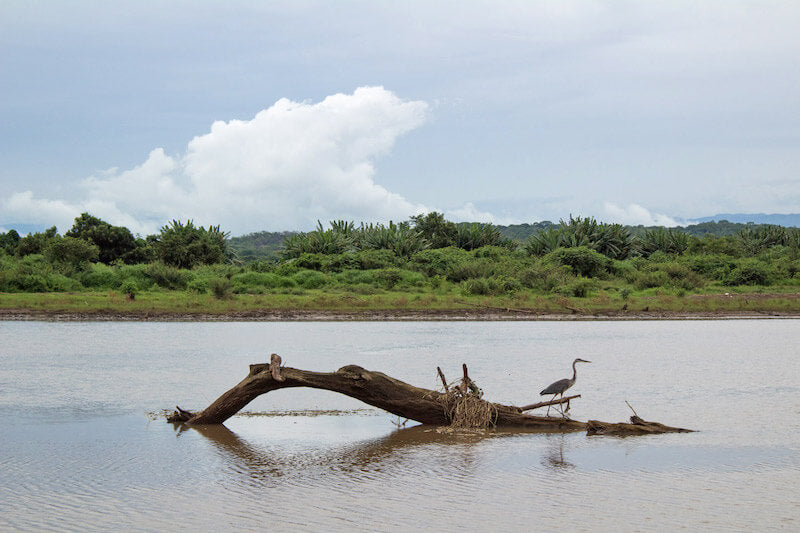 Costa Rica Beach & Adventure Accessible Group Tour