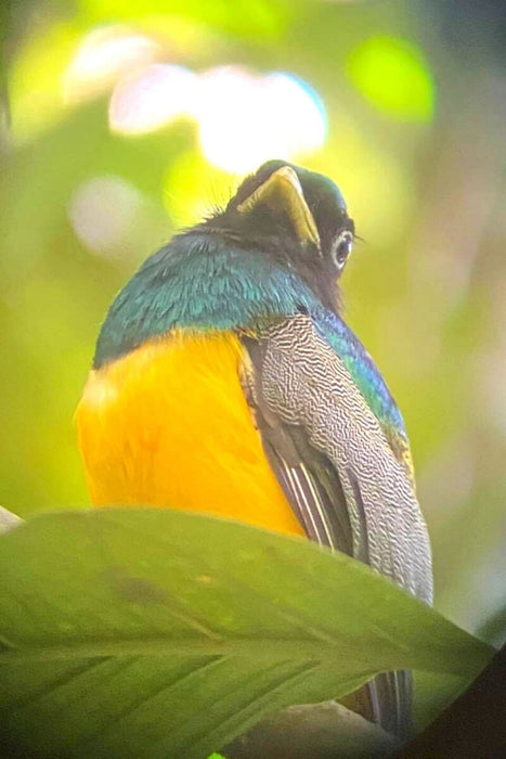 Costa Rica Accessible Group Tour: Nature, Culture & Adventure