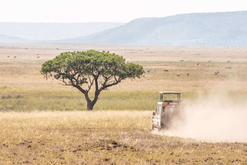 South Africa Expedition: Kruger Safari Adventure