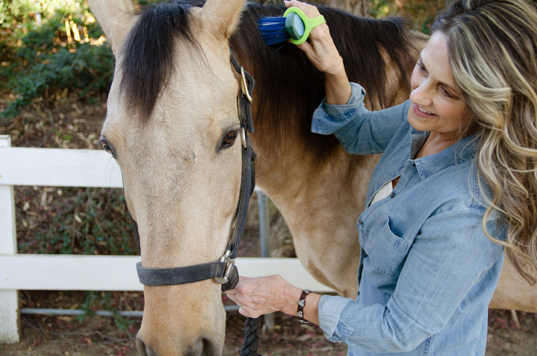 EaZyHold Lime Grip Aid 2 Pack (Extra-Large with Extra-Large Holes)