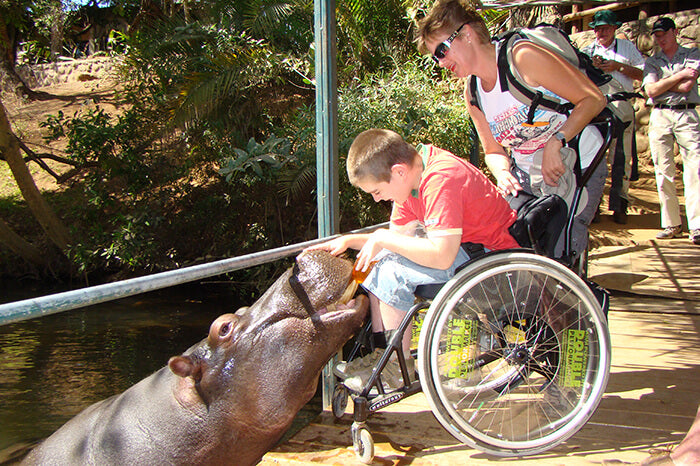 South Africa Expedition: Kruger Safari Adventure