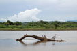 Costa Rica Beach & Adventure Accessible Group Tour