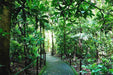 Costa Rica Beach & Adventure Accessible Group Tour