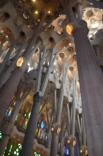 Barcelona & Beyond: An Accessible Group Adventure