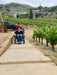 Barcelona & Beyond: An Accessible Group Adventure