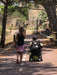 Barcelona & Beyond: An Accessible Group Adventure