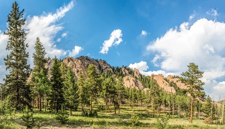 Colorado Adventure Fall Escape – 6 Day Accessible Group Tour