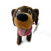 Roxy dog plushie front on a white background