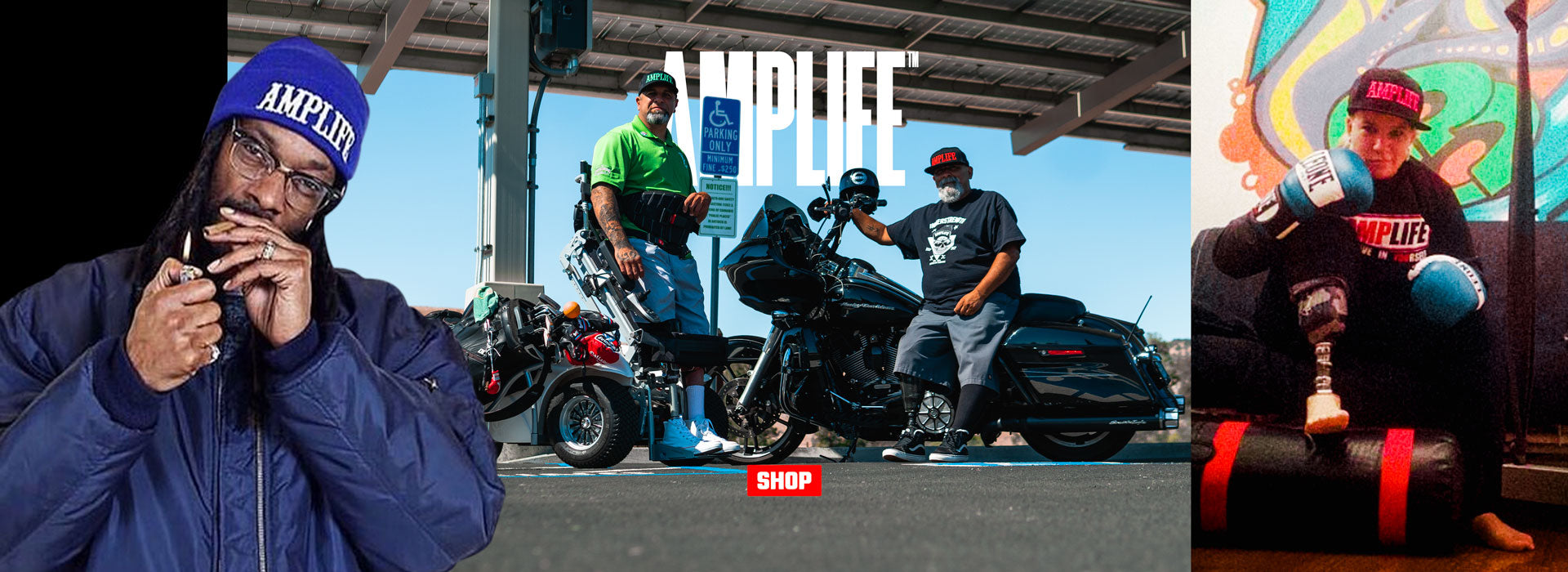 AMPLIFE™ COLLECTION