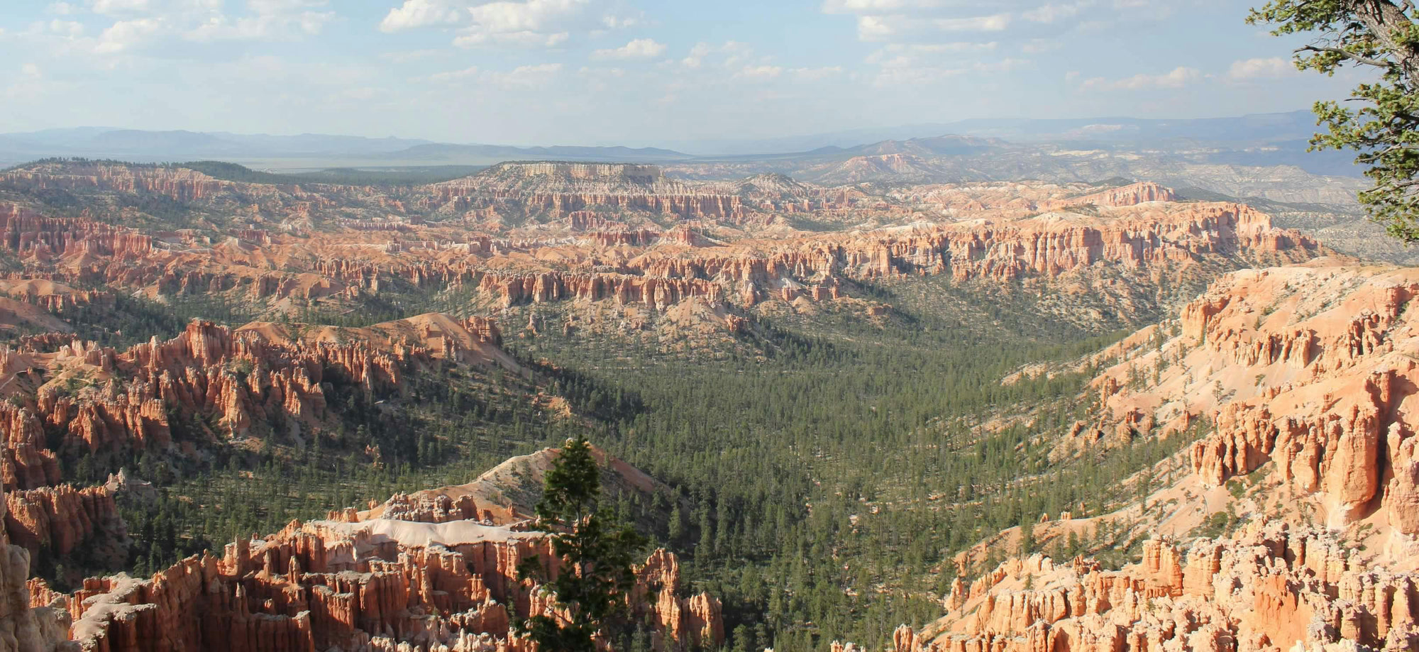 Scenic view of canyon with red rock formations and greenery under a blue sky.