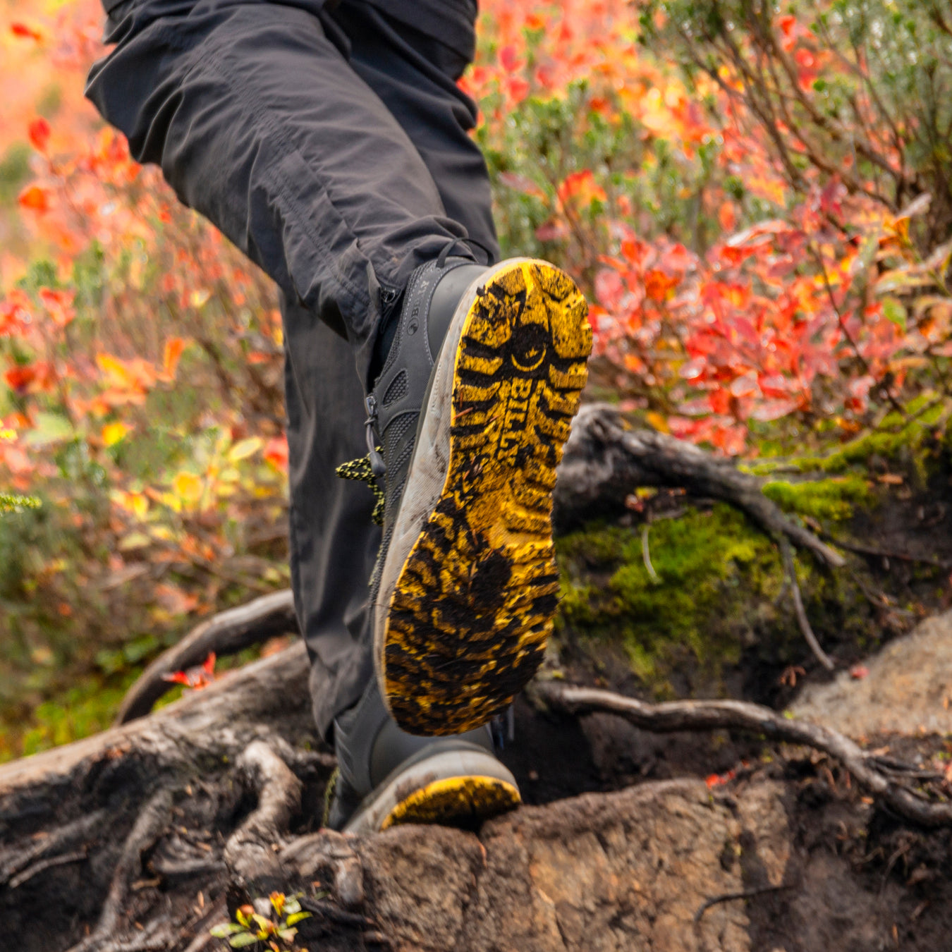 Apparel & Accessories