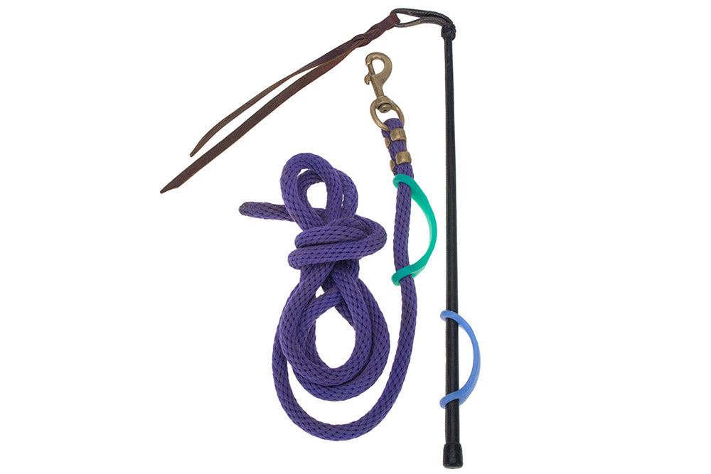 Purple horse leash and bridle with a blue EaZyHold Grid Aid a white background