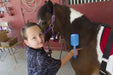 Child grooming a small horse with a brush with an EaZyHold Grid Aid in a barn setting