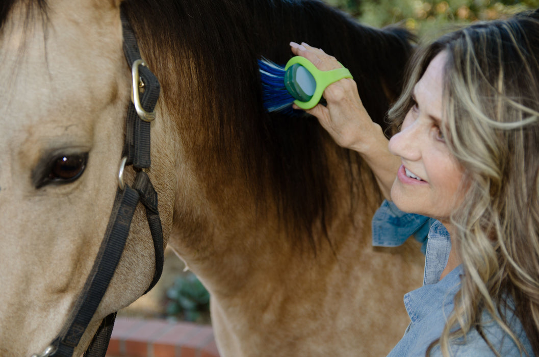 Woman brushing a horse's mane with with a lime green EaZyHold Grip Aid