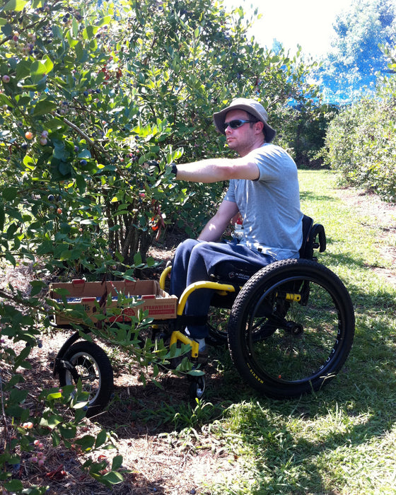 FreeWheel Wheelchair Attachment user picking blueberries.