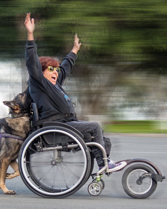 FreeWheel Wheelchair Attachment user being pushed by their service dog.