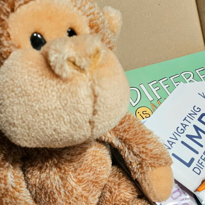LDC Hugs in a Box Care Package detail of a teddy bear with educational materials in the background