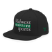Front left angle of the Midwest Adaptive Sports Logo Black Flat Bill Snapback against a white background