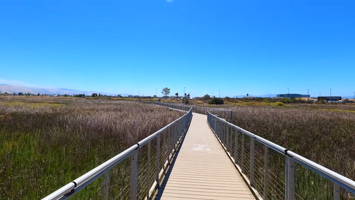 Landscape of Alviso Marina County Park in San Jose during the day.