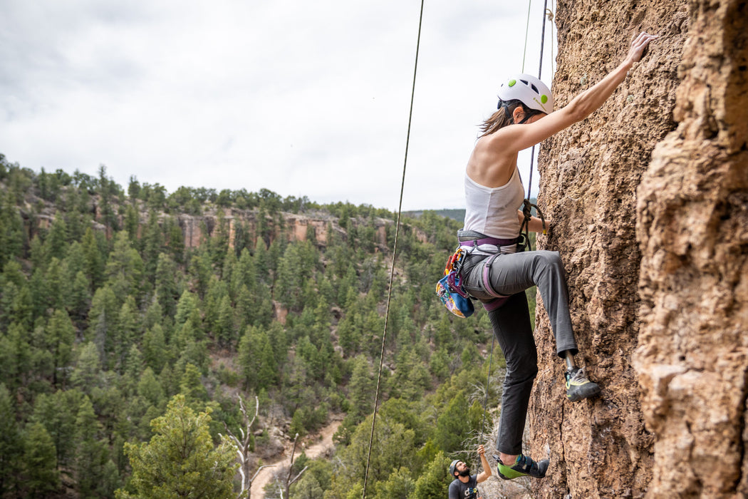 Person climbing a rock wall with a scenic background of trees and mountains.