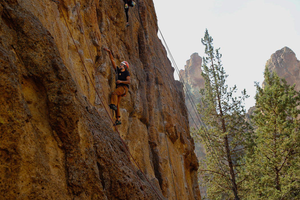 Person rock climbing on a steep cliff with trees in the background.
