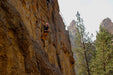 Person rock climbing on a steep cliff with trees in the background.