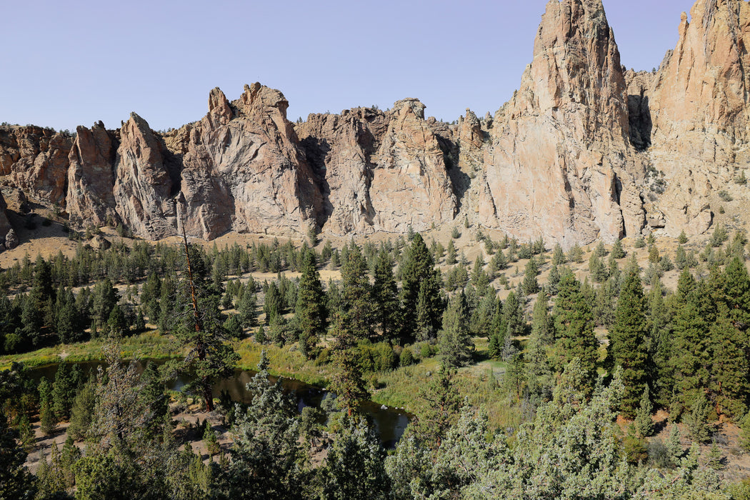 Scenic view of a mountain range with trees in the foreground.