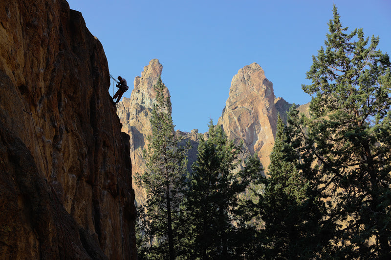 Person climbing a rocky cliff with mountains and trees in the background.
