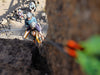 People climbing a rocky cliff with safety gear