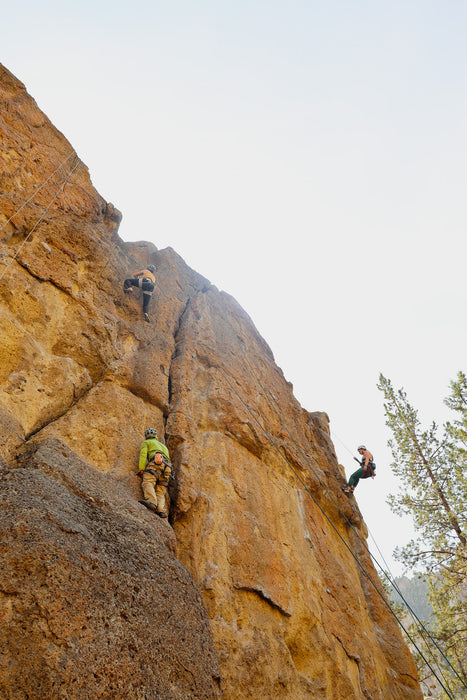 Two climbers on a rocky cliff face with trees in the background.