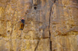 Person climbing a large rock wall.