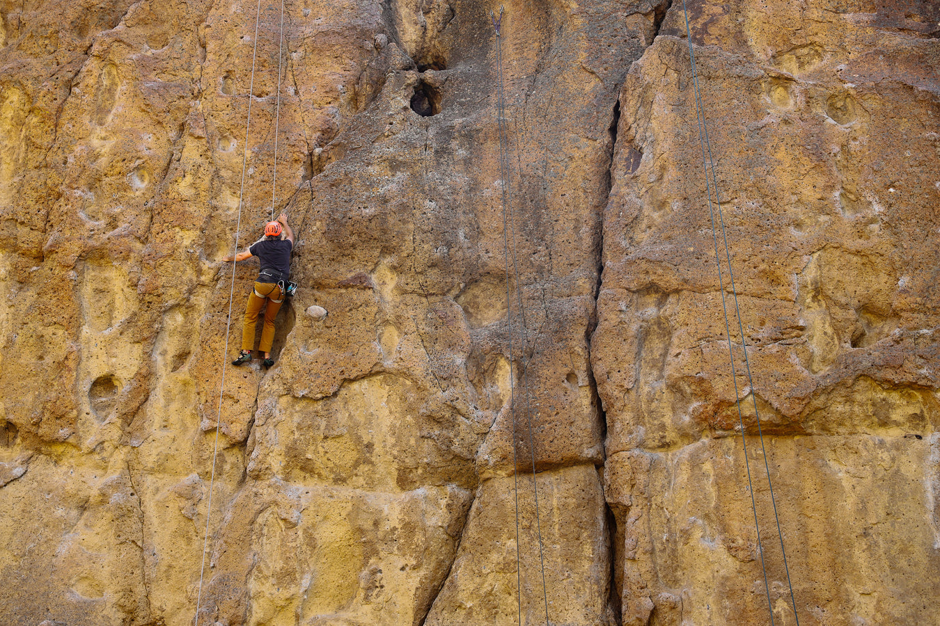 Person climbing a large rock wall.