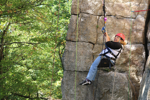 Person rock climbing on a large rock face with greenery in the background.
