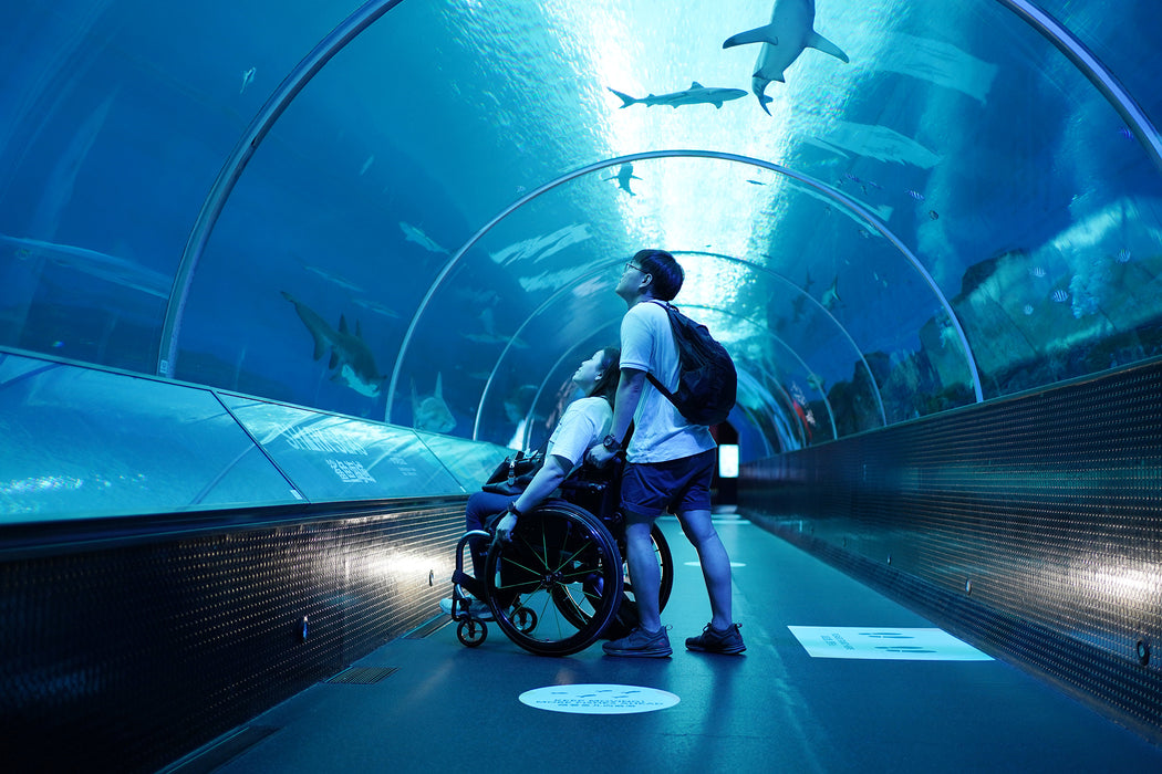 Wheel the World Accessible Travel Platform | Global