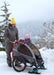 Wheel Blades XL - Skis for snow and sand (sold as a pair)