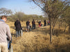 South Africa Expedition: Kruger Safari Adventure