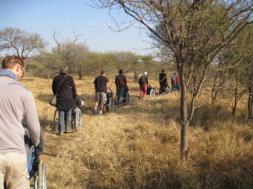 South Africa Expedition: Kruger Safari Adventure