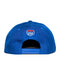 AMPLIFE BLUE & GREEN FLAT BILL SNAPBACK - HATS - AMPLIFE™