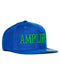 AMPLIFE BLUE & GREEN FLAT BILL SNAPBACK - HATS - AMPLIFE™